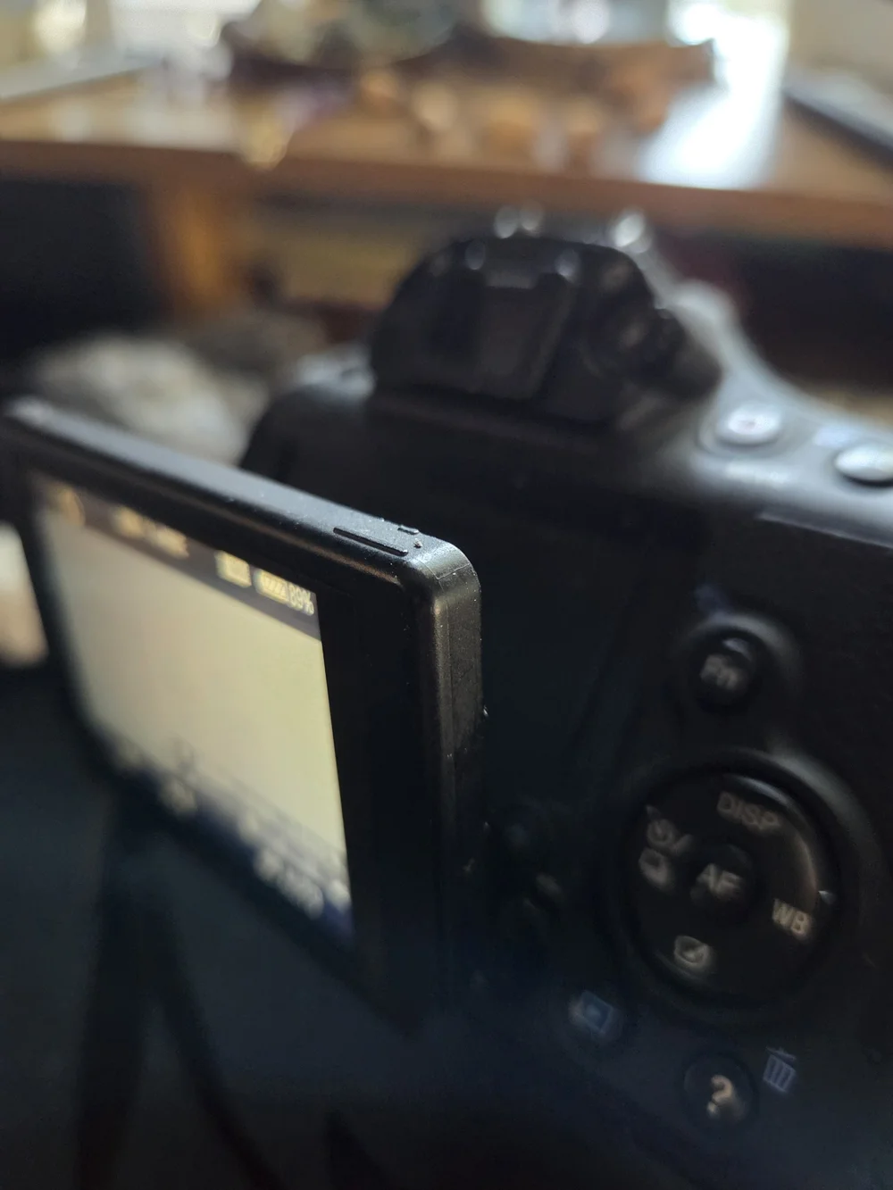 Sony Black DSLR Camera with Built-in Flash